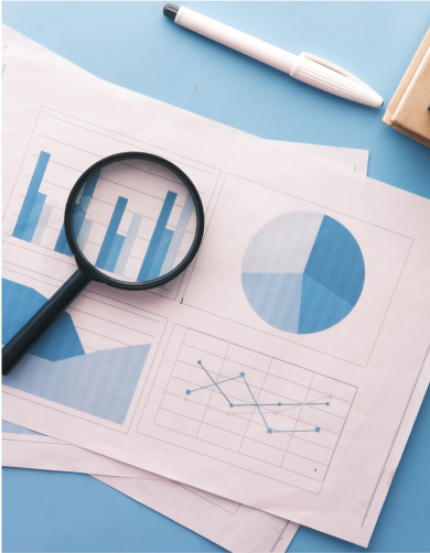 segnaposto dei bundle di report